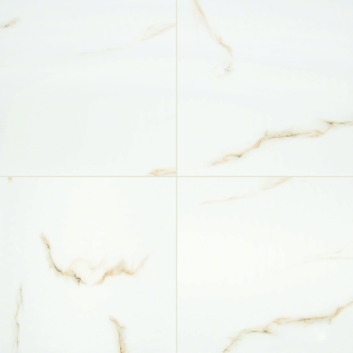 Aria Bianco 24 in. x 24 in. Polished Porcelain Floor and Wall Tile (16 sq. ft. / case)