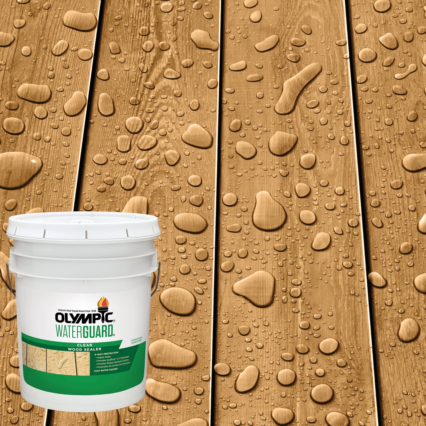 WaterGuard 11 oz. Clear Exterior Waterproofing Wood Sealer Spray