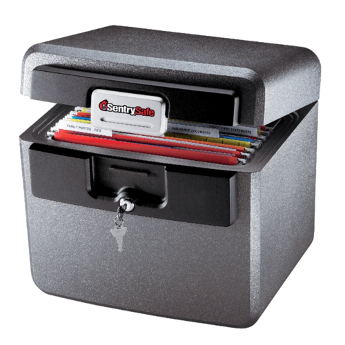 SentrySafe Water and Fire Resistant File Safe with 2 Keys, Gray