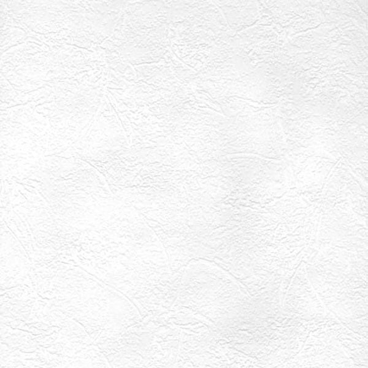 Sante Fe Slap Trowel Plaster Paintable Wallpaper