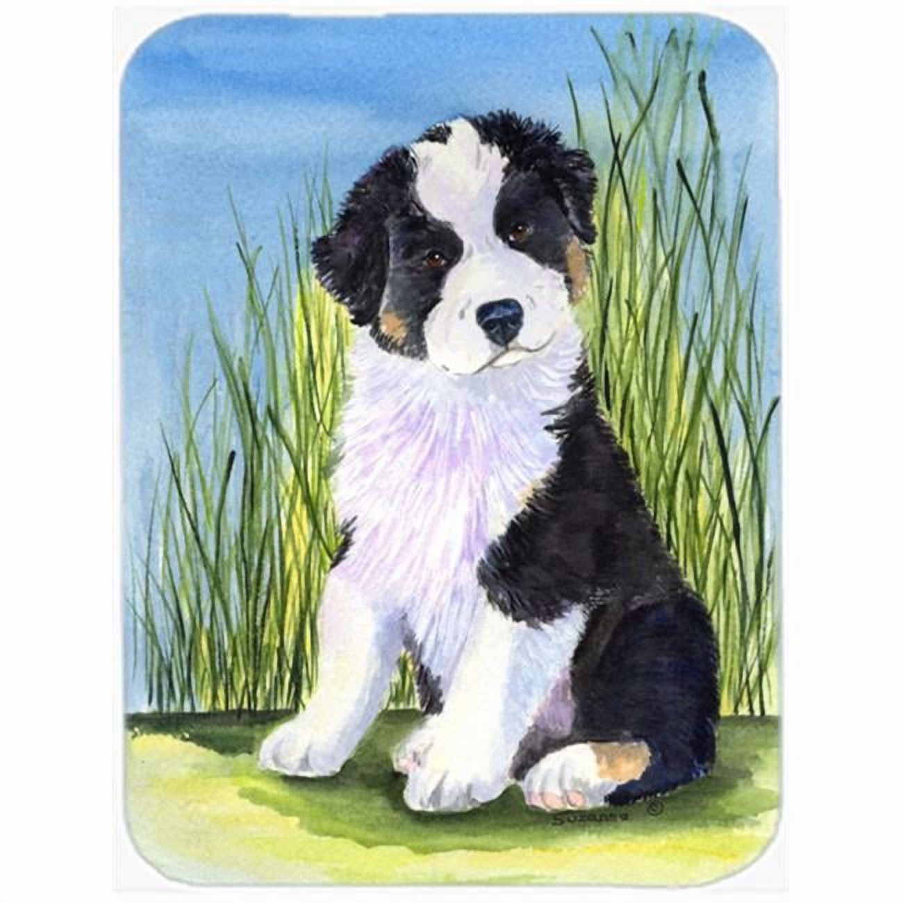 Carolines Treasures SS8372LCB Australian Shepherd Glass Cutting Board Large, 12H x 16W, multicolor