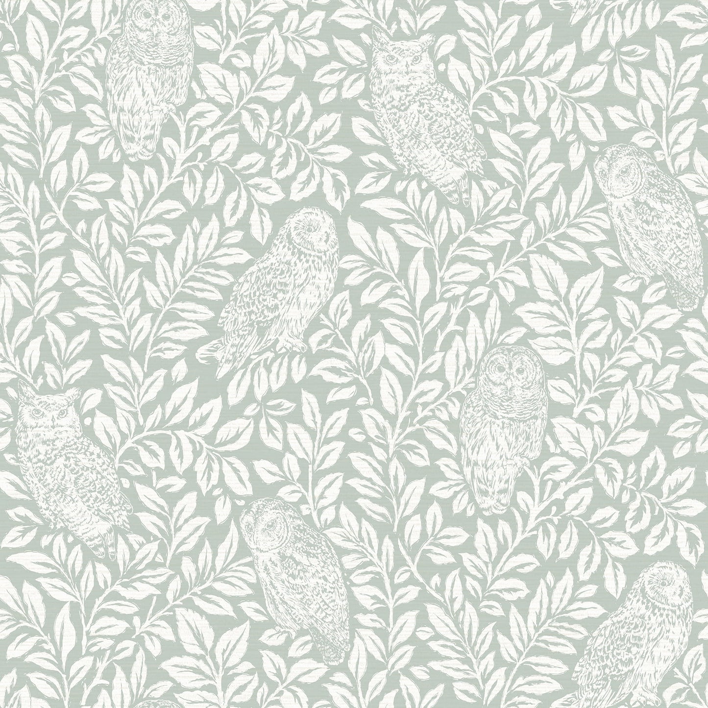 Chesapeake Parliament Teal Owl Prepasted Non Woven Blend Wallpaper, 20.5-in by 33-ft, 56.4 sq. ft.
