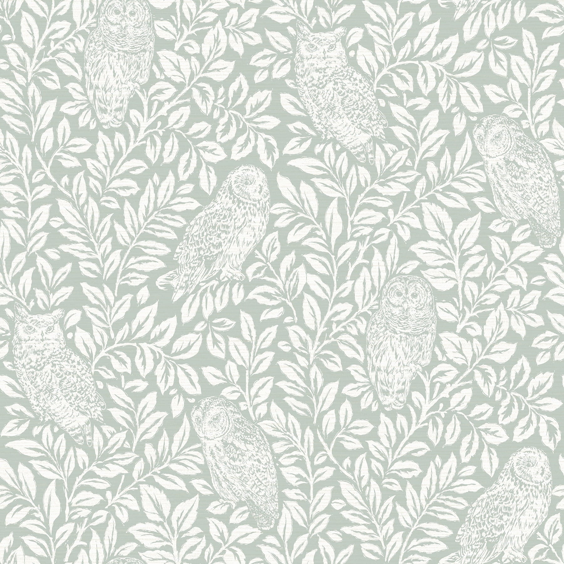 Chesapeake Parliament Teal Owl Prepasted Non Woven Blend Wallpaper, 20.5-in by 33-ft, 56.4 sq. ft.