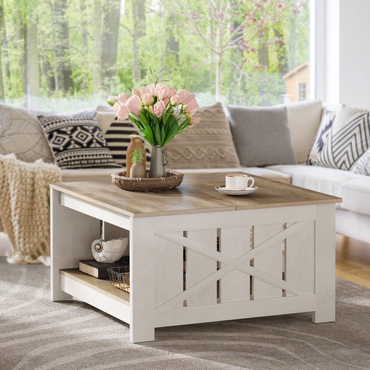 Dextrus Square Coffee Table, Farmhouse Coffee Table with Half Open Storage Compartment, Gray Wash
