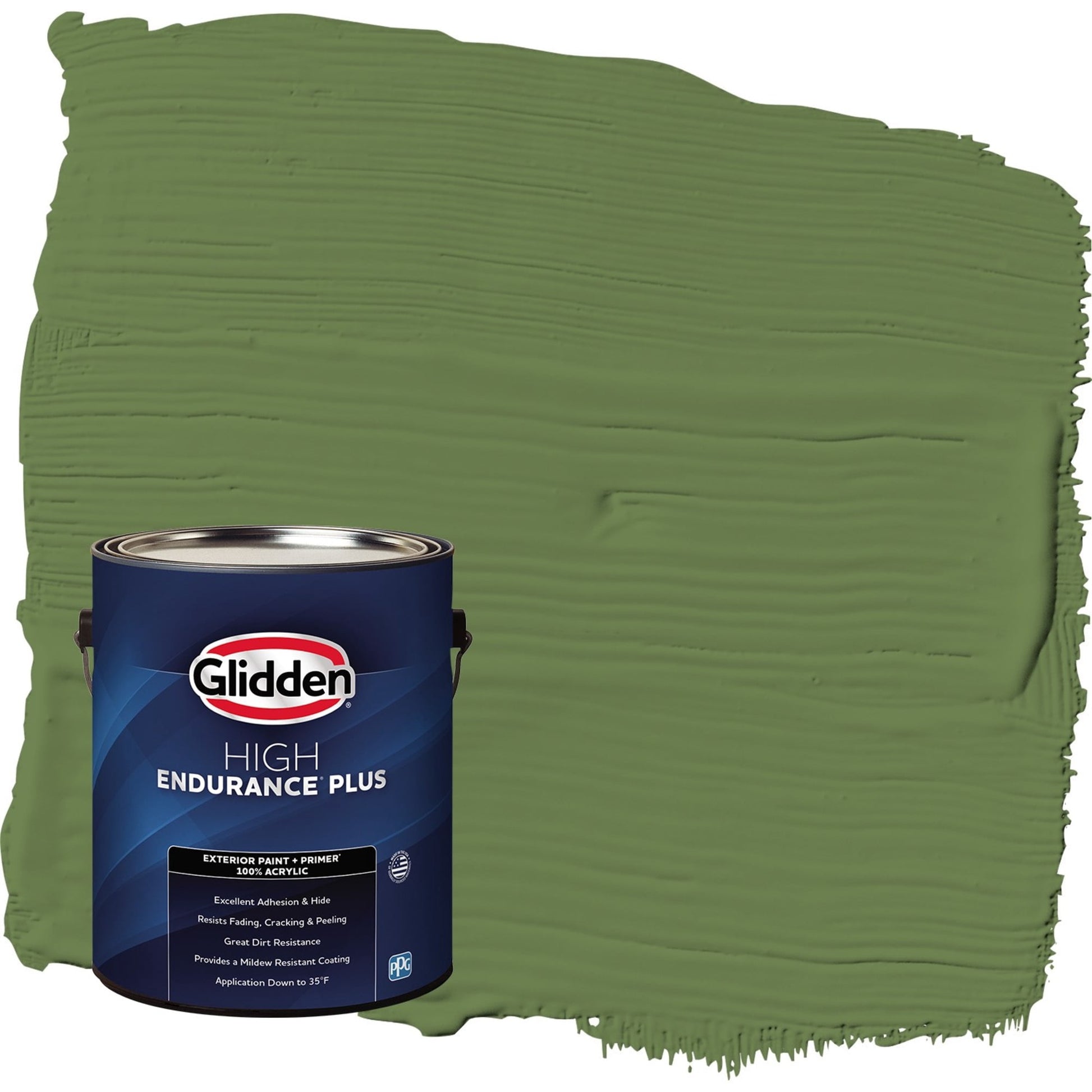 Glidden HEP Mint Leaves / Green Flat Exterior Paint with Primer, 1 Gallon