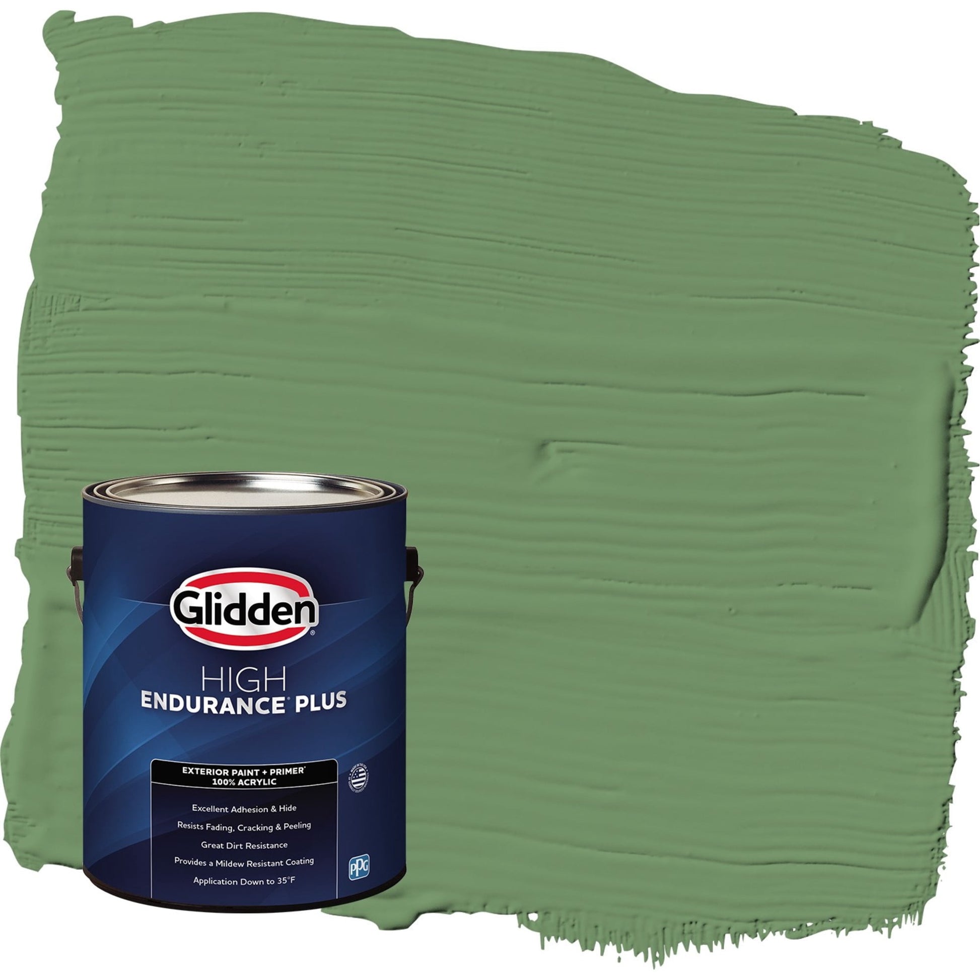 Glidden HEP Moss Ring / Green Flat Exterior Paint with Primer, 1 Gallon