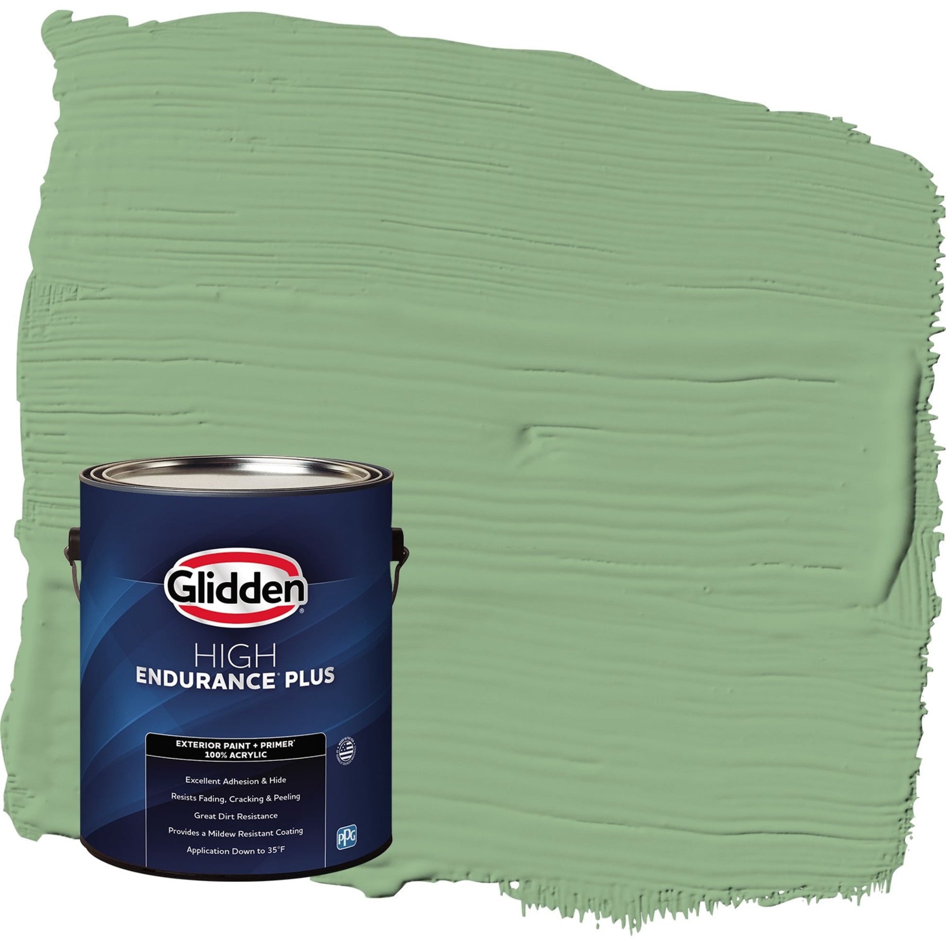 Glidden HEP Pear Cactus / Green Satin Exterior Paint with Primer, 1 Gallon