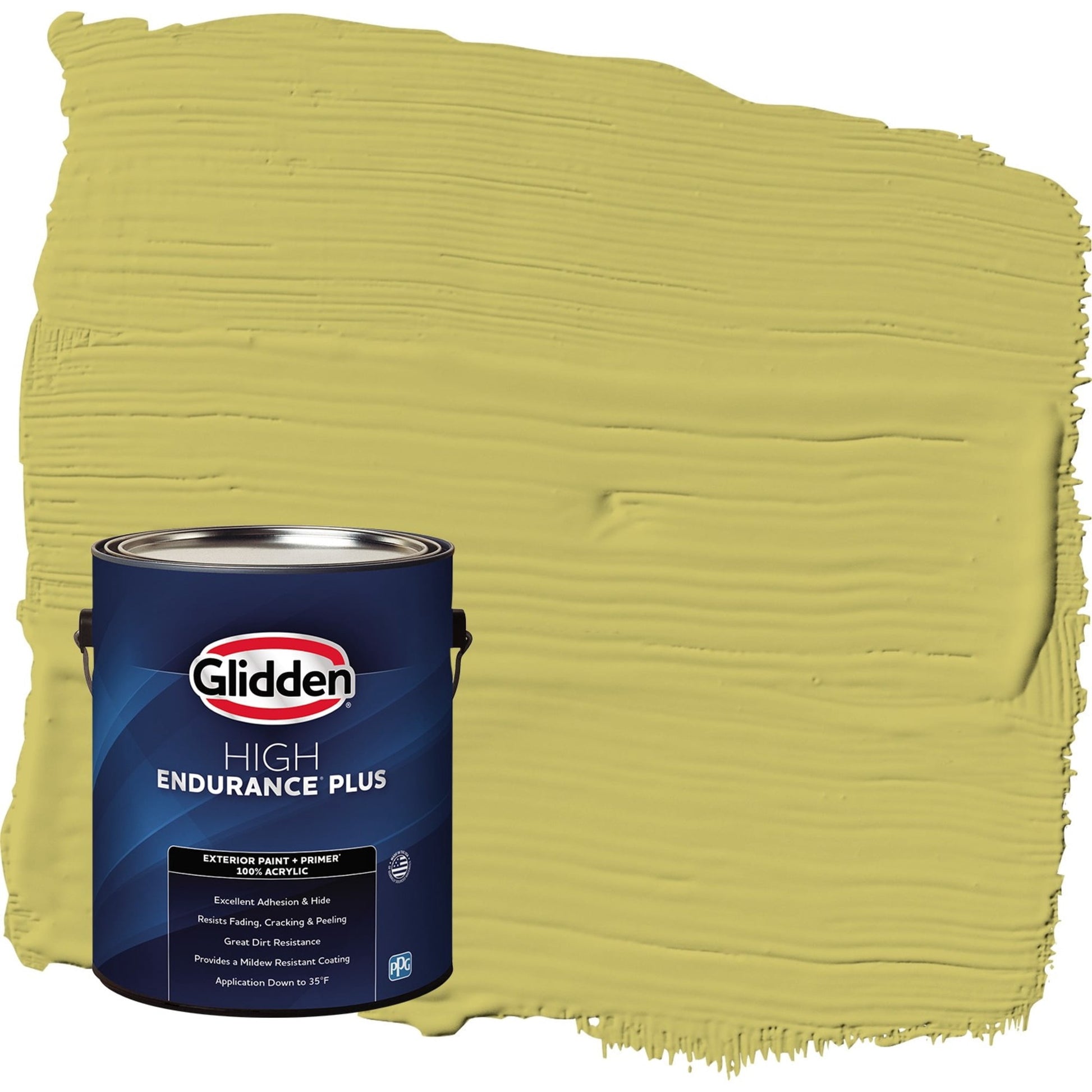 Glidden HEP Secret Safari / Green Satin Exterior Paint with Primer, 1 Gallon