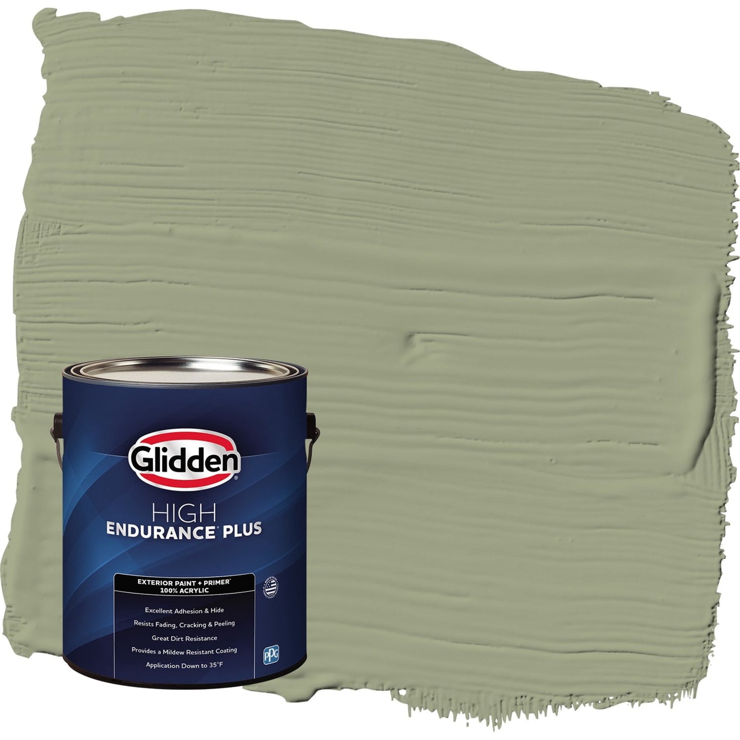 Glidden HEP Zebra Grass / Green Semi-Gloss Exterior Paint with Primer, 1 Gallon