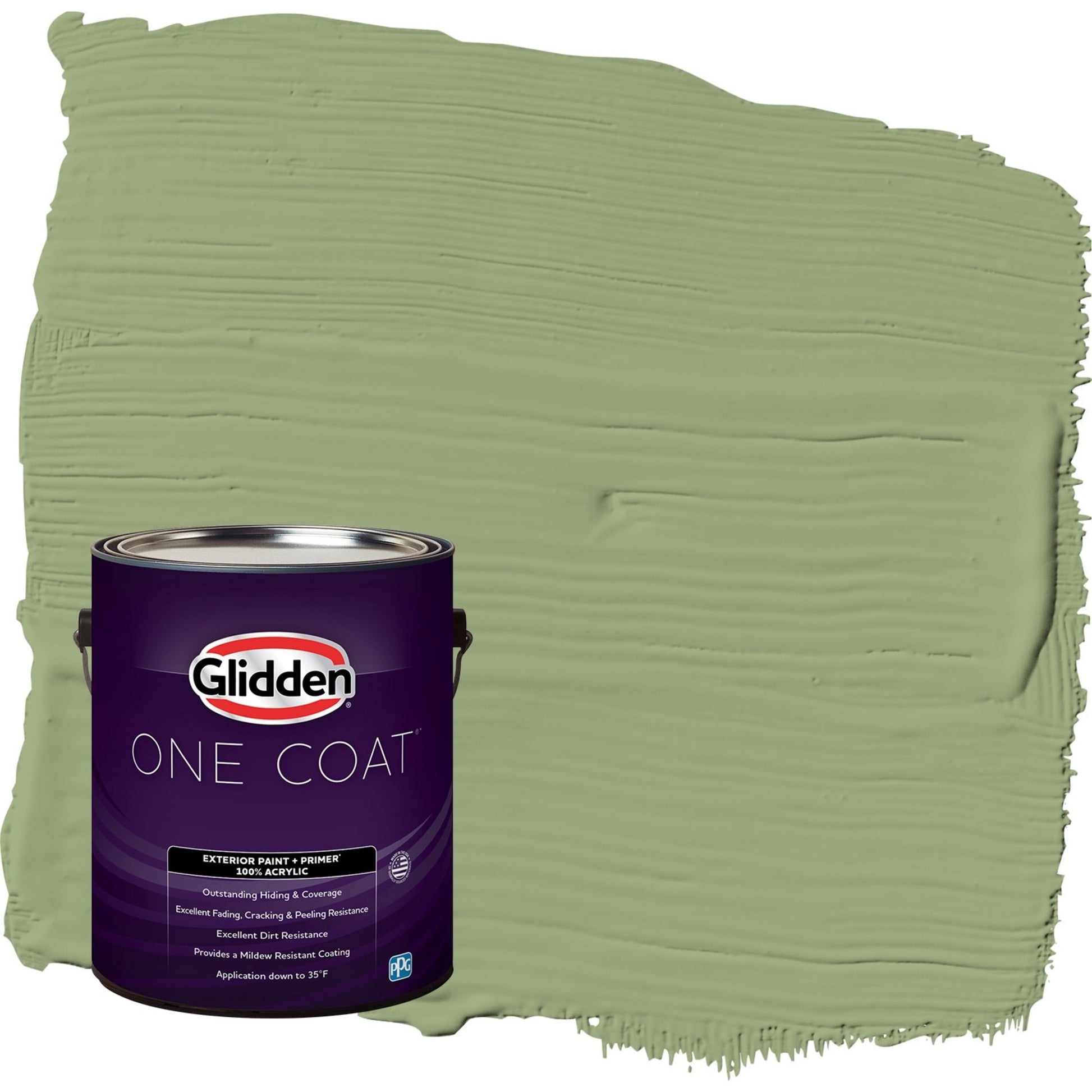 Glidden One Coat Guacamole / Green Flat Exterior Paint with Primer, 1 Gallon