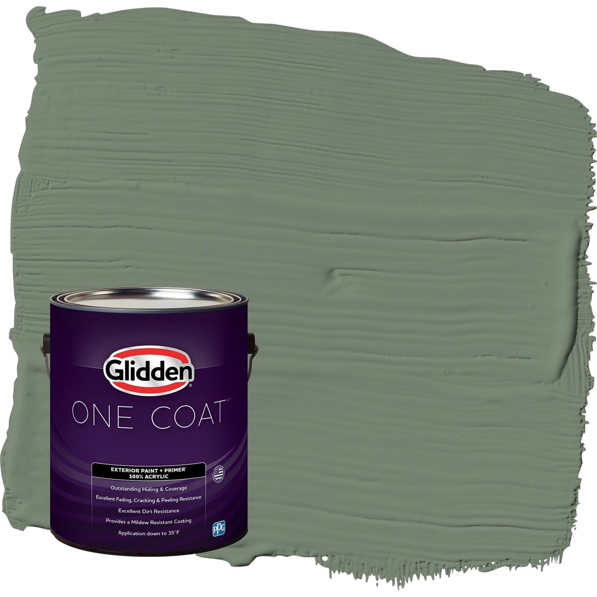 Glidden One Coat Lottery Winnings / Green Flat Exterior Paint with Primer, 1 Gallon