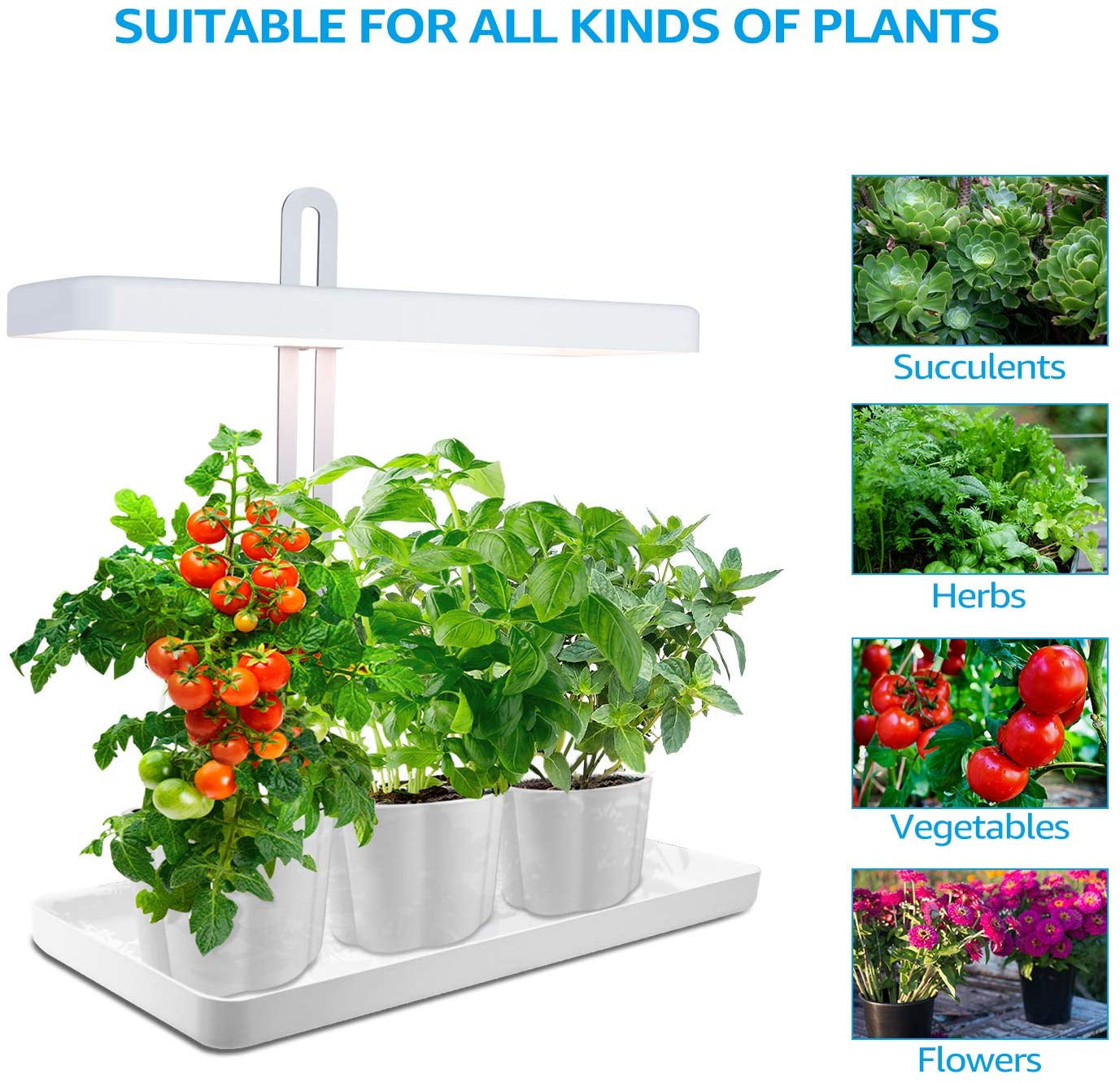 LED Indoor Garden Grow Light, Automatic Timer Function, CRI 95, Height Adjustable, Pots & Plants Not Included
