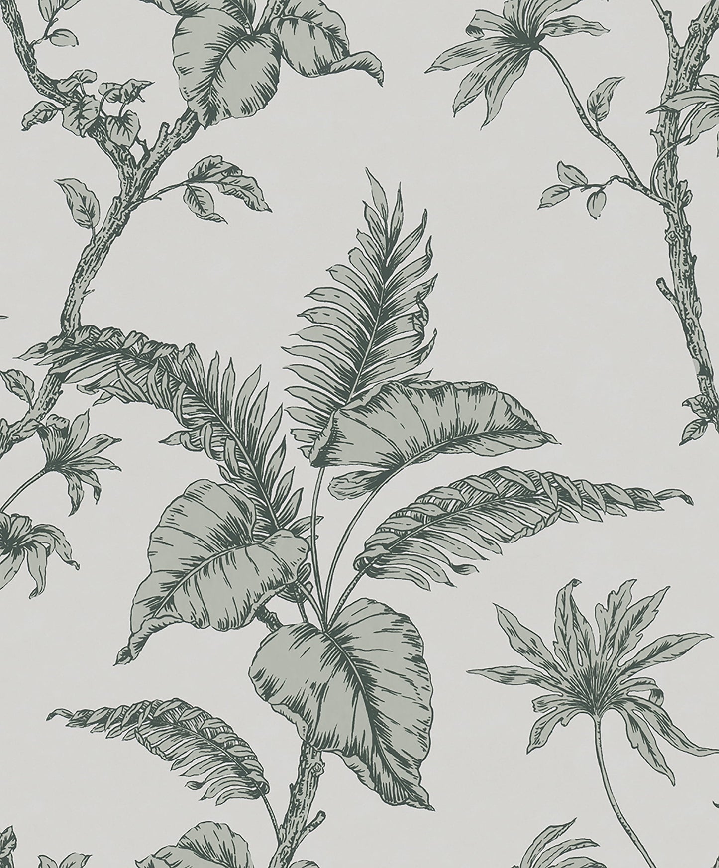 Marburg Cival Green Fern Trail Wallpaper, 20.9-in by 33-ft, 57.48 sq. ft.