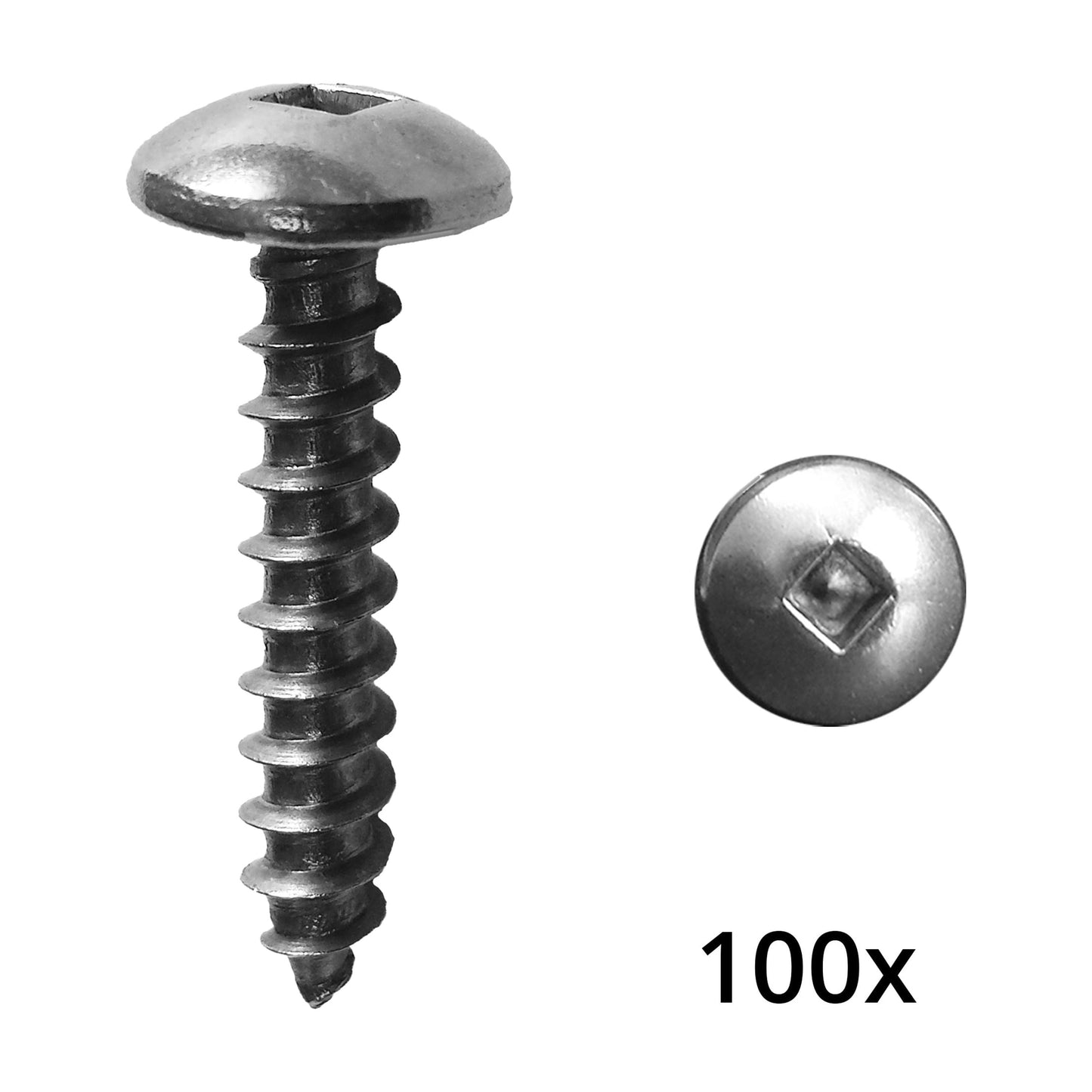 Multinautic No.10 x 1 in. Truss Head Stainless Steel Screw 100 pack for Hardware Use