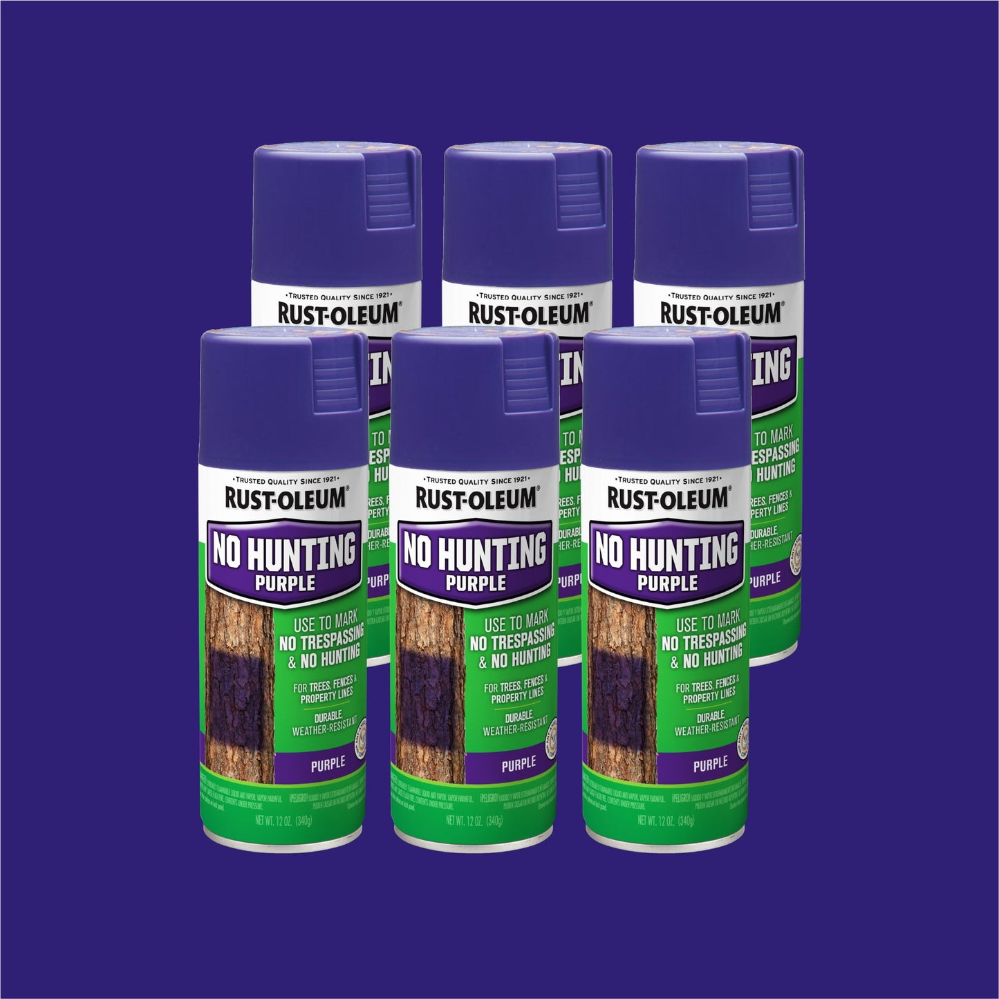 6 Pack, No Hunting Purple, Rust-Oleum Specialty Spray Paint- 270970, 12 oz