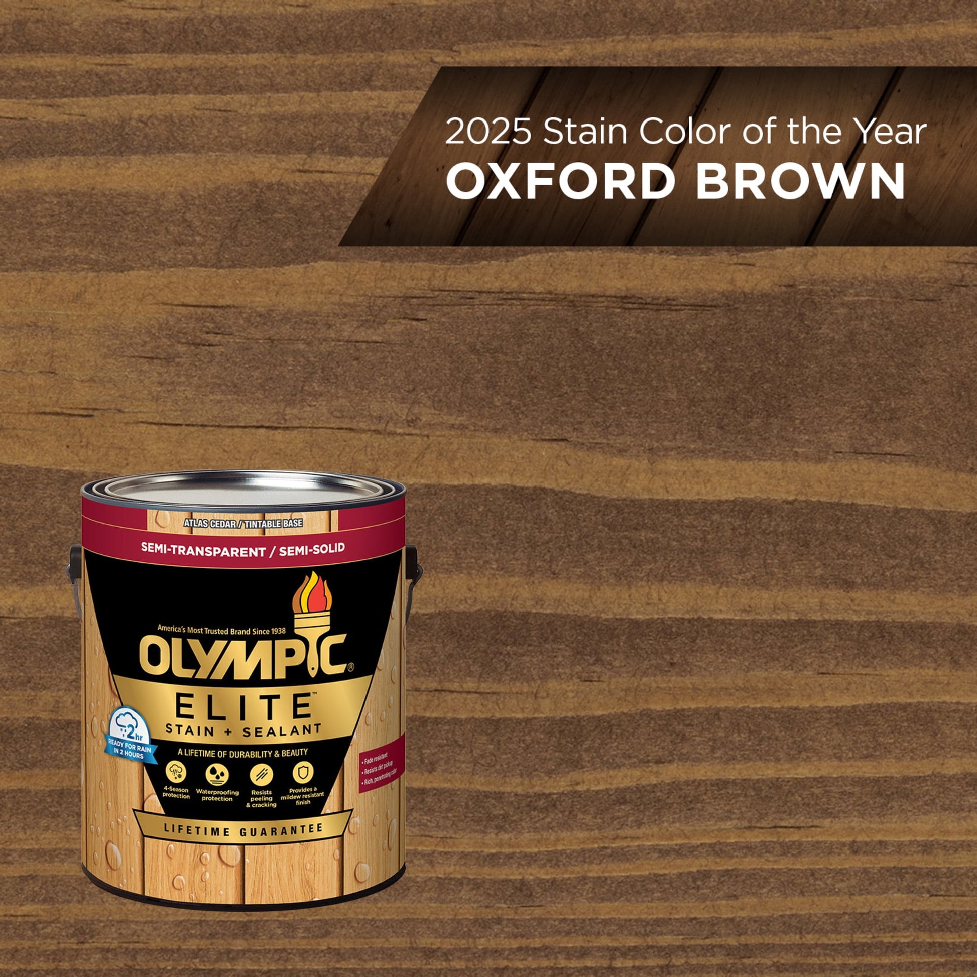 Olympic Elite 1 Gallon ST-2019 Oxford Brown Semi-Transparent Exterior Stain and Sealer in One Low VOC
