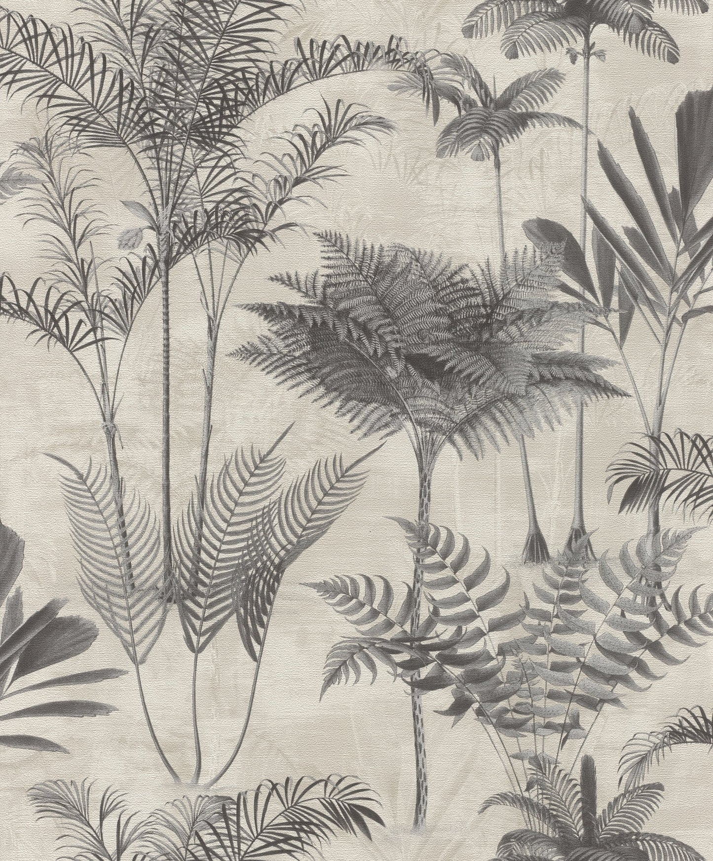 Rasch Kinabalu Charcoal Rainforest Wallpaper