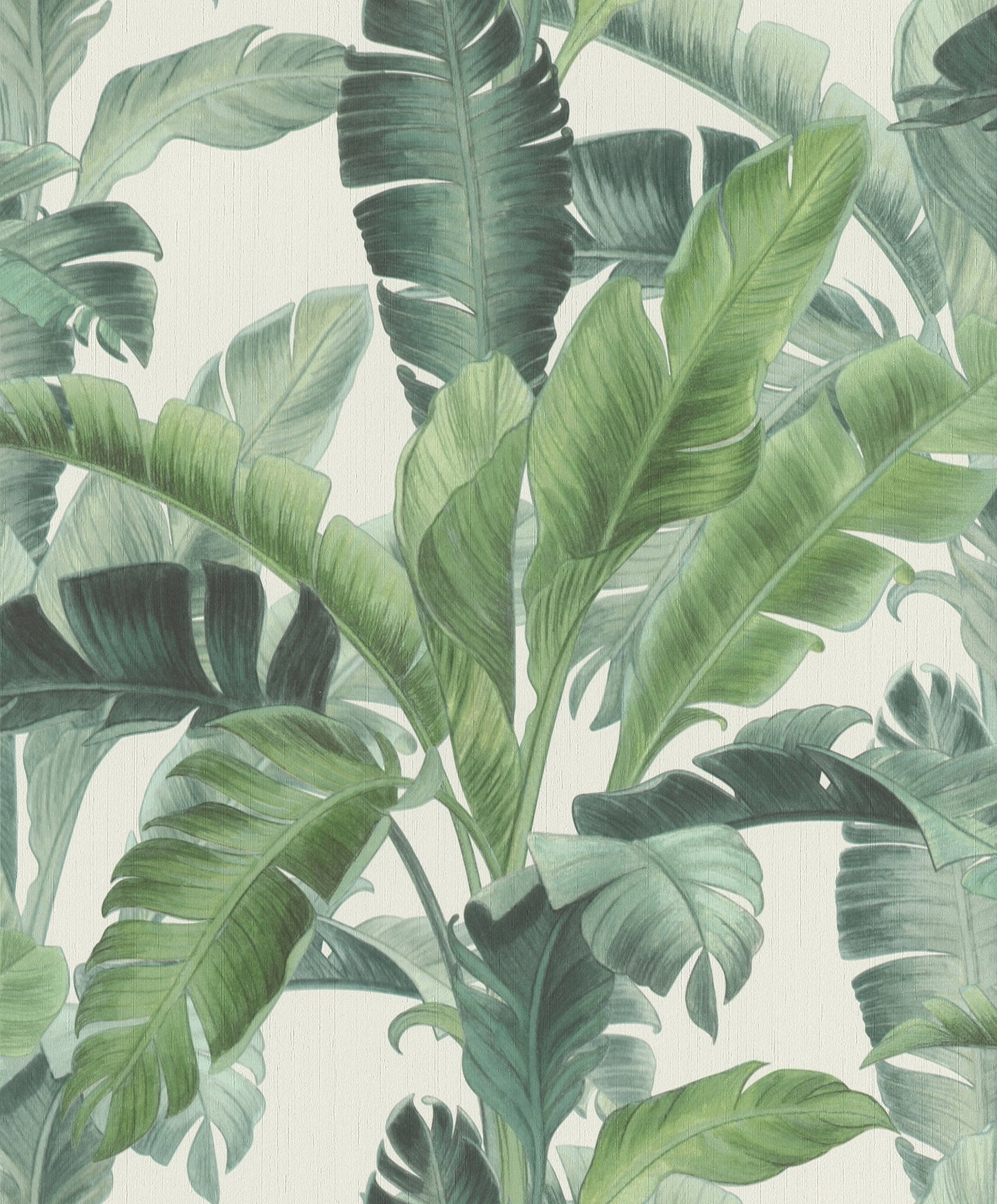 Rasch Orissa Green Palm Frond Wallpaper