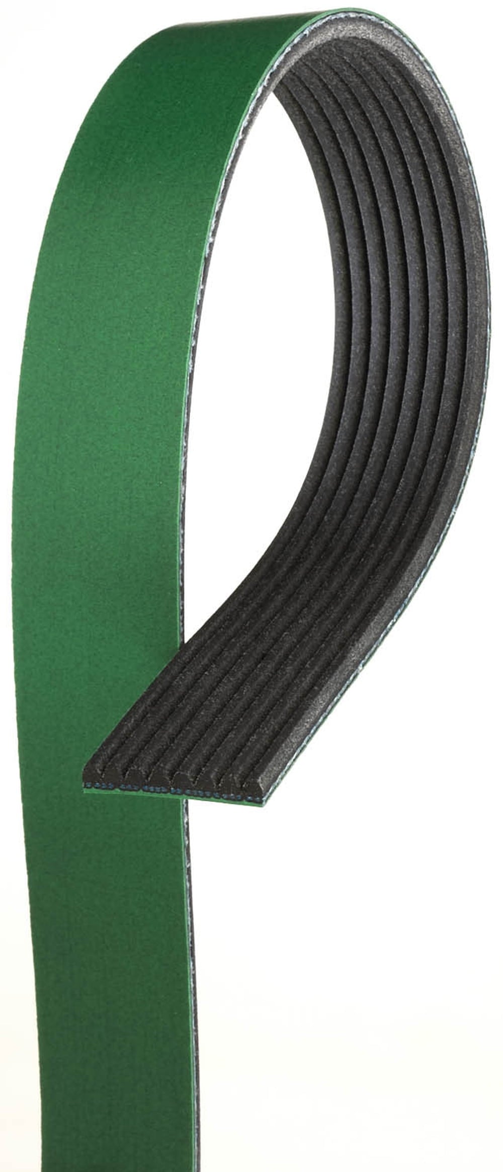 Serpentine Belt