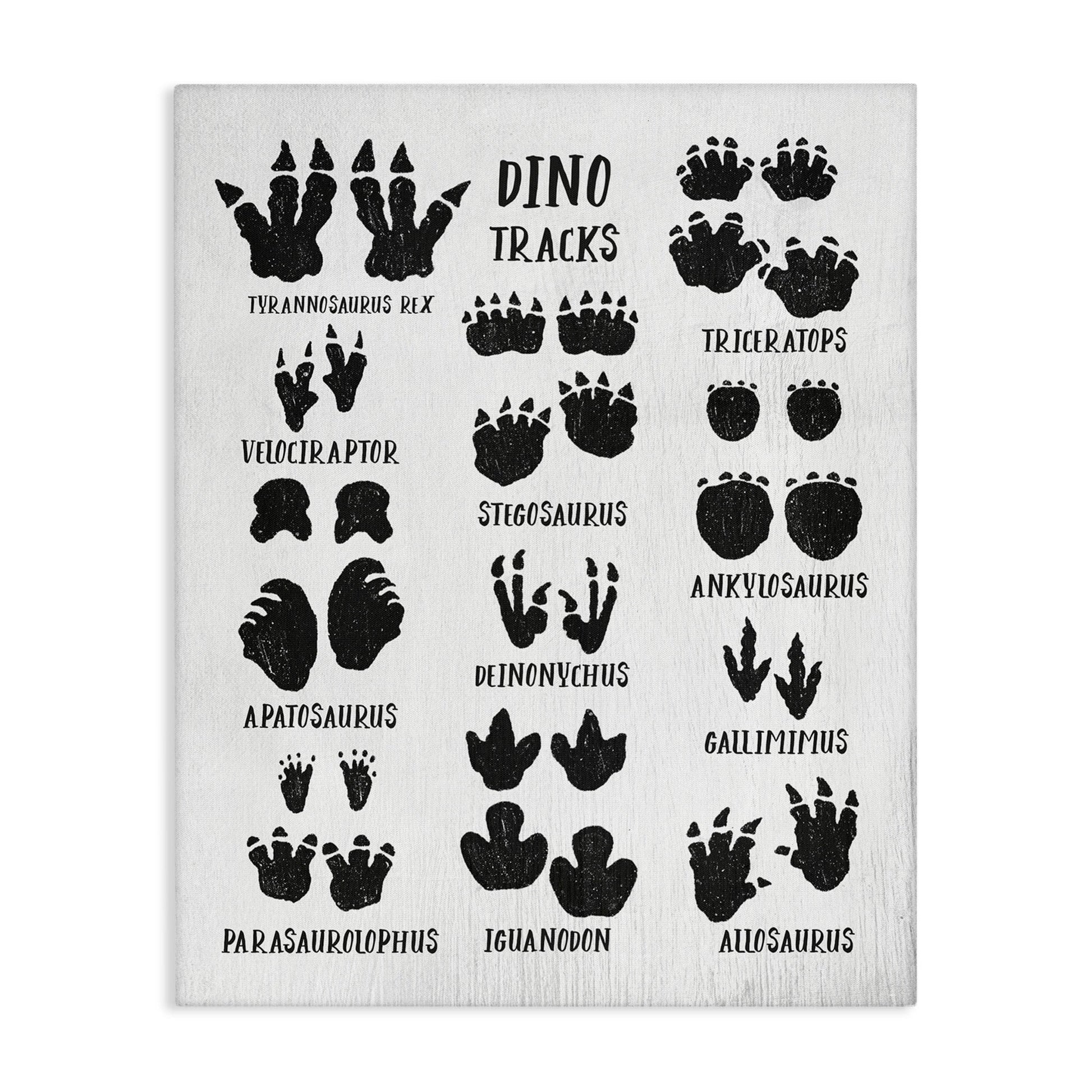 Stupell Industries Children's Rustic Dinosaur Track Chart with Text Canvas Wall Art Design by Daphne Polselli, 16" x 20"