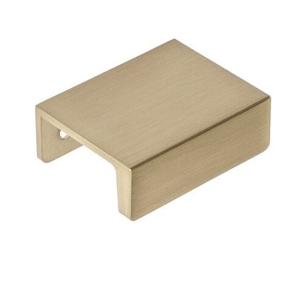 Sumner Street Home Hardware 10 Pack Martin 1-1/4" Satin Brass Finger Pull
