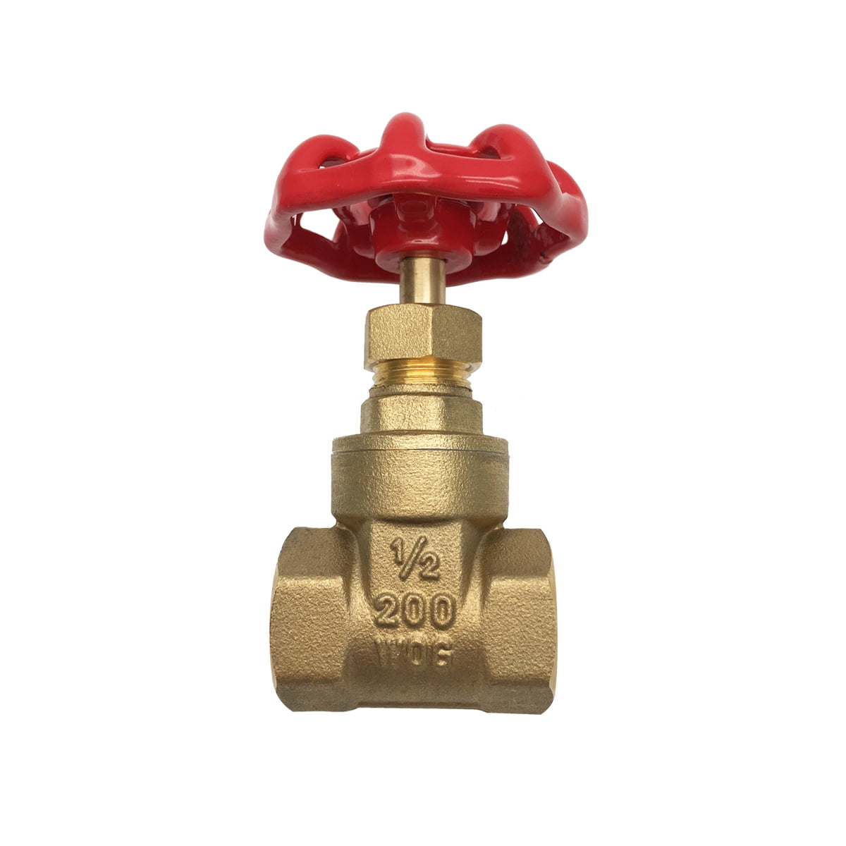 THEWORKSÂ® Heavy Pattern Brass Threaded Gate Valve, 1" FIP x FIP