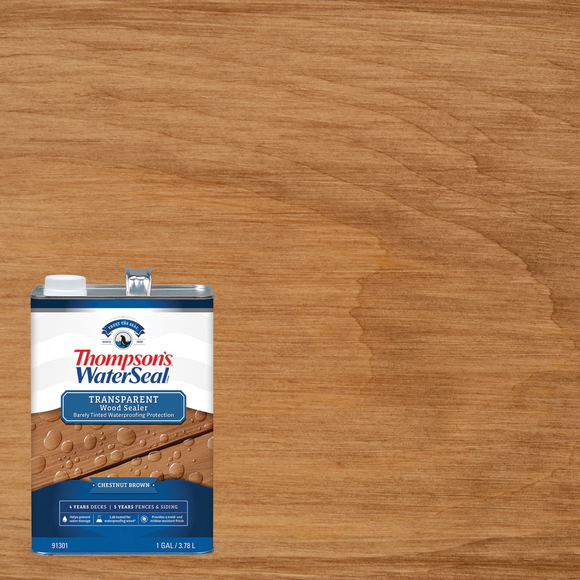 Thompson's WaterSeal Transparent Wood Sealer, Chestnut Brown, 1 Gallon