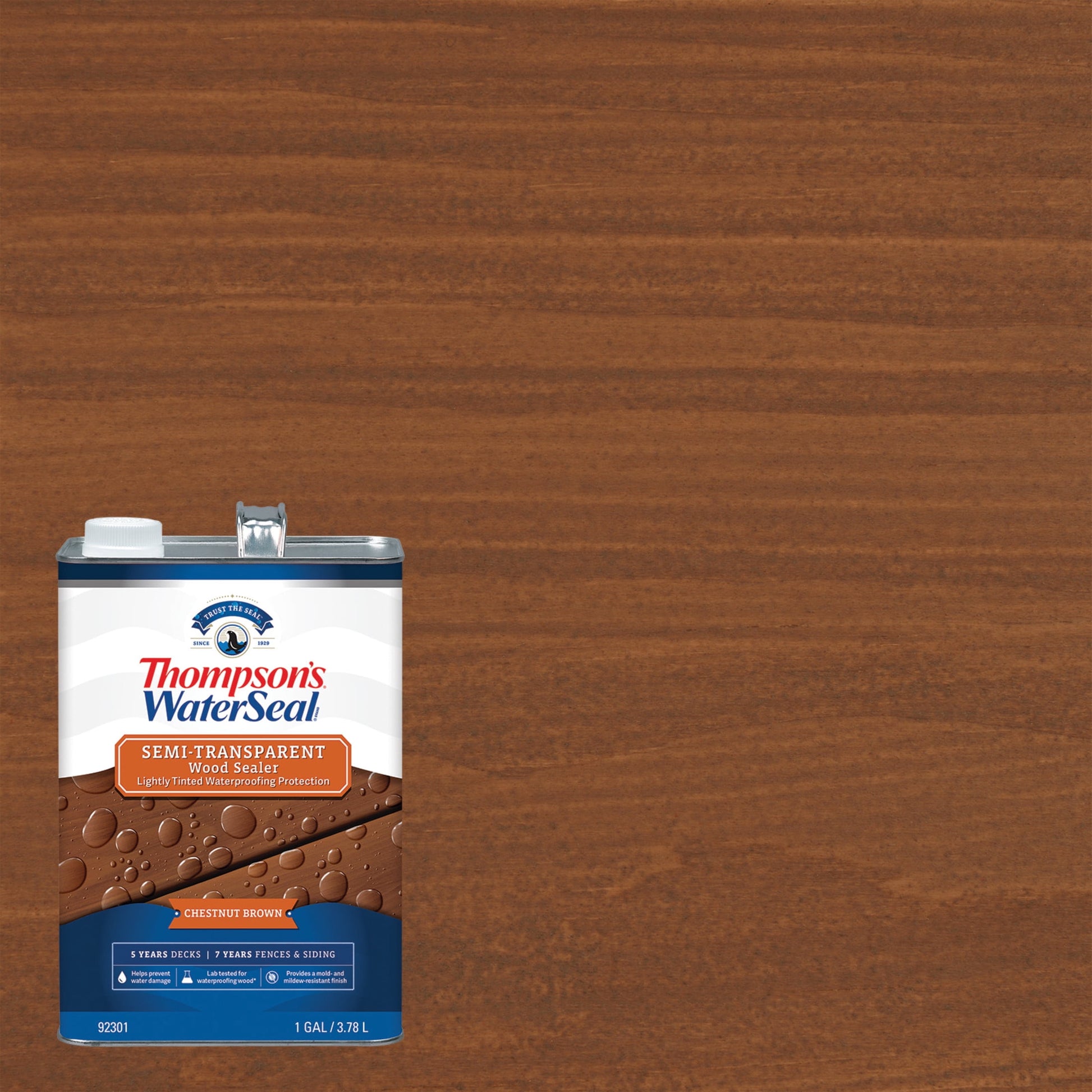 Thompson's WaterSeal Semi-Transparent Wood Sealer, Chestnut Brown, 1 Gallon