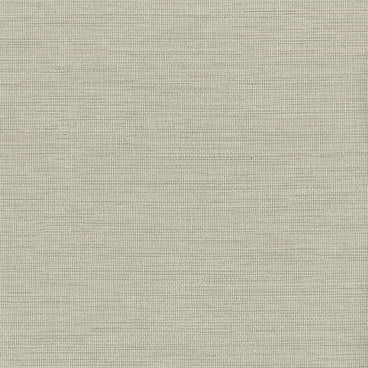 Warner Textures Giana Beige Horizontal Silk Wallpaper